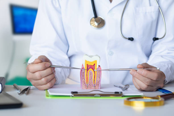 Best Emergency Dental Extractions in Bonneau Beach, SC